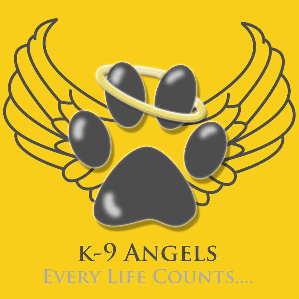 k9 logo